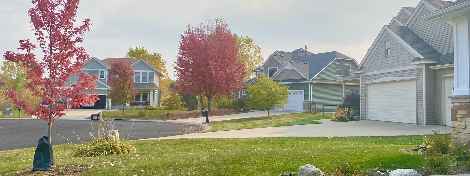 Red maples in fall along a Hidden Valley street